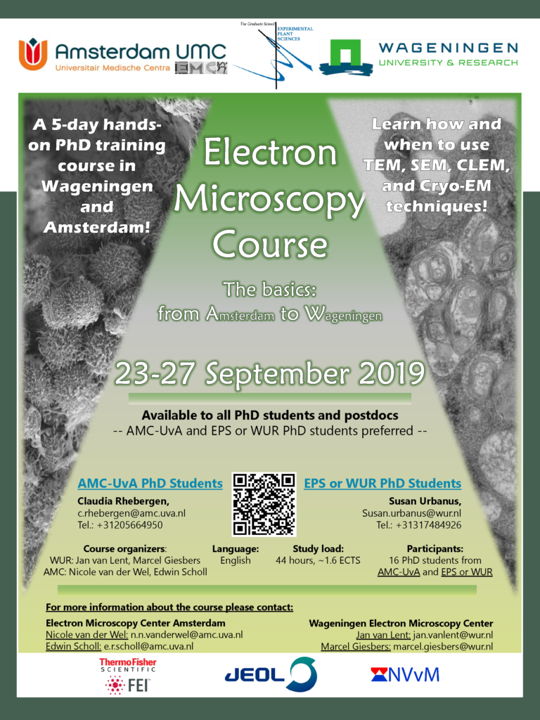Electron Microscopy course – The Basics: from A to W